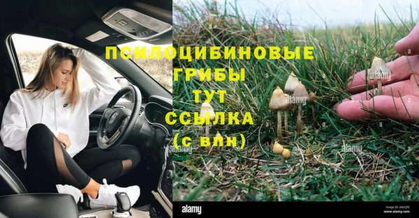винт Богородск