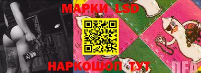 гидра Кандалакша