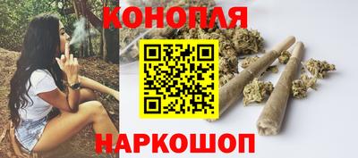 гидра Кандалакша