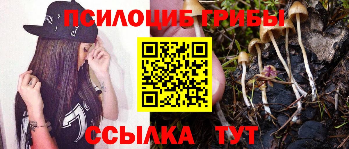 Псилоцибиновые грибы мицелий Тамбов