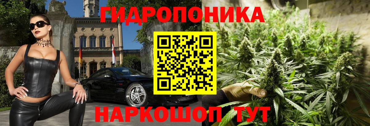 Тамбов  Каннабис ГИДРОПОН  Канабис конопля  Бошки марихуана индика  Вход с VPN 