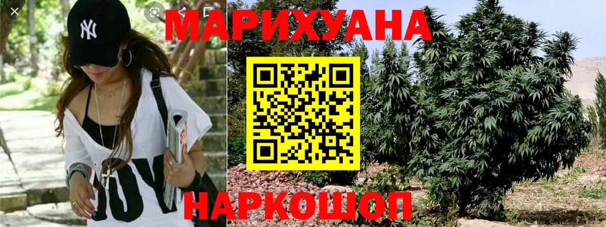 Бошки Шишки планчик Тамбов